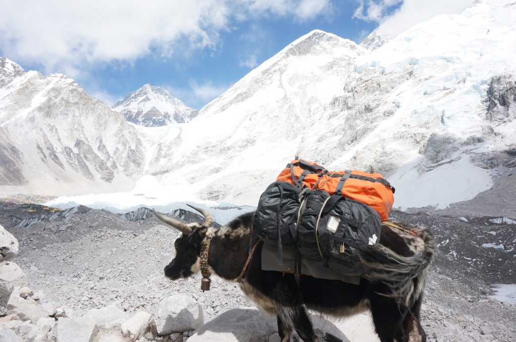 best-time-to-visit-everest-base-camp-classic-outdoors-blog